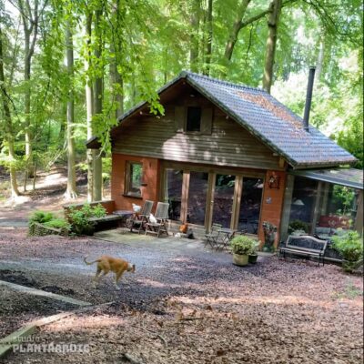 Vakantie huis in de Vlaamse Ardennen omringd door eiken bomen en alle levende wezens die er leven.